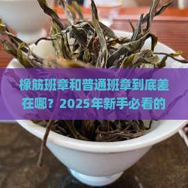 橡筋班章和普通班章区别