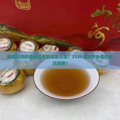 橡筋班章和普通班章区别