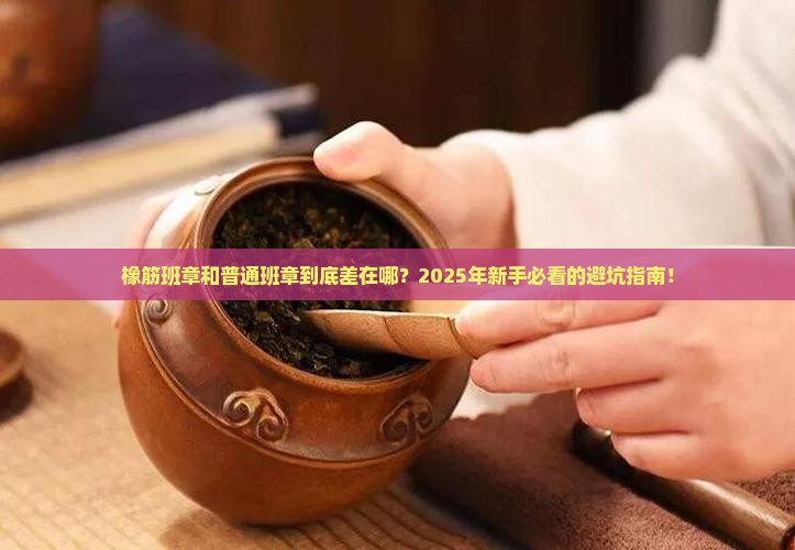 橡筋班章和普通班章区别