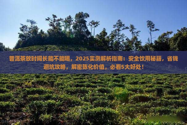 普洱茶放时间长能不能喝