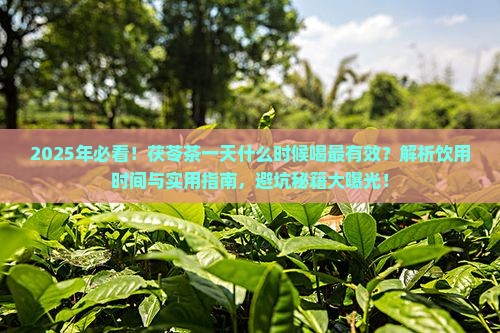 茯苓茶一天什么时候喝