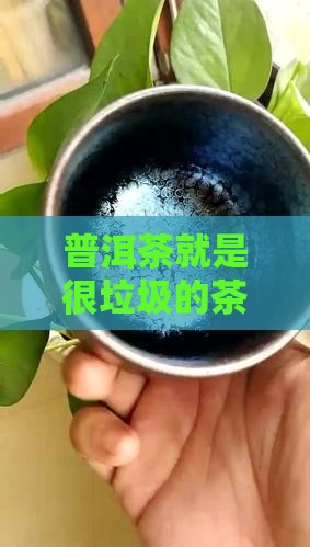 普洱茶就是很垃圾的茶吗