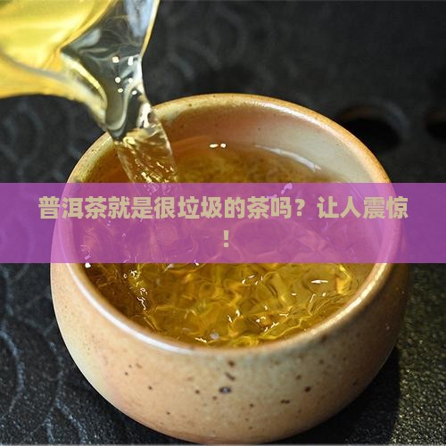 普洱茶就是很垃圾的茶吗