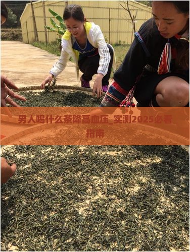 男人喝什么茶降高血压