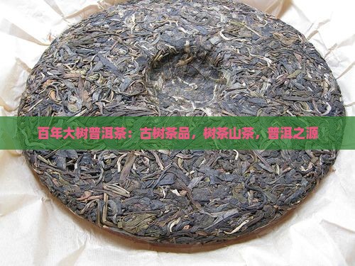 百年大树普洱茶