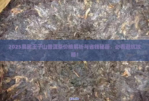 易武王子山普洱茶价格