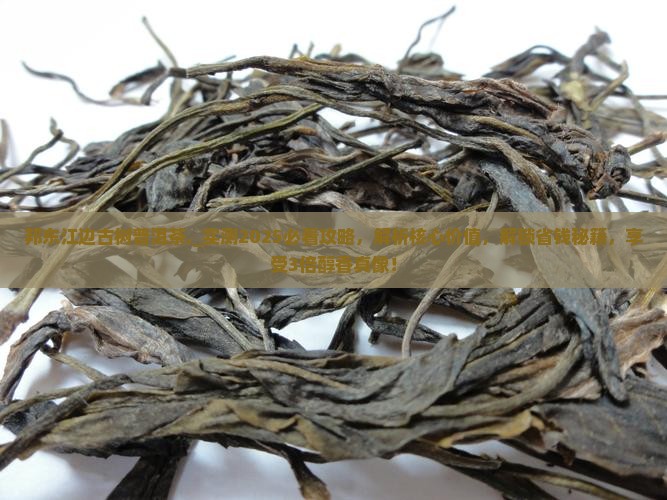 邦东江边古树普洱茶