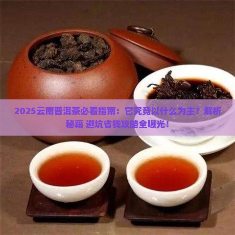 云南普洱茶一般以什么为主