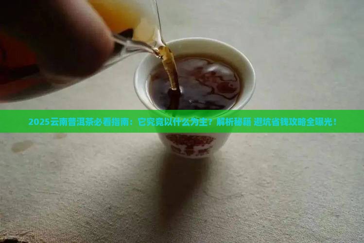 云南普洱茶一般以什么为主