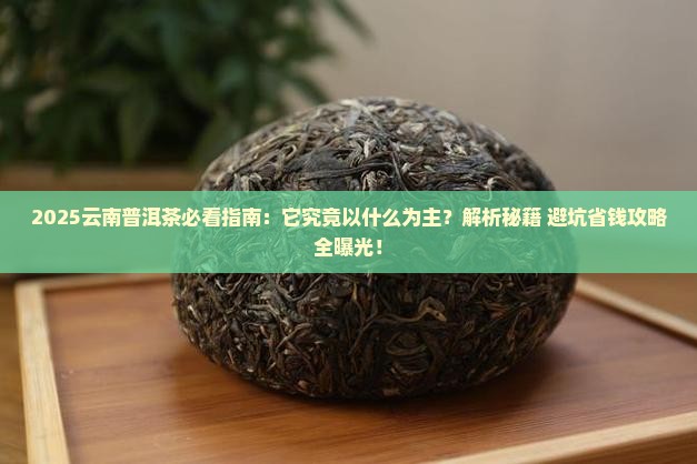 云南普洱茶一般以什么为主