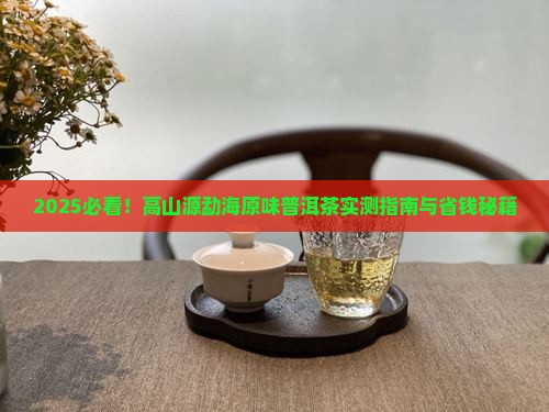 高山源勐海原味普洱茶