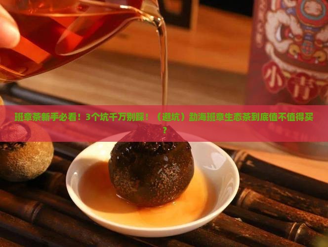 勐海班章生态茶普洱茶
