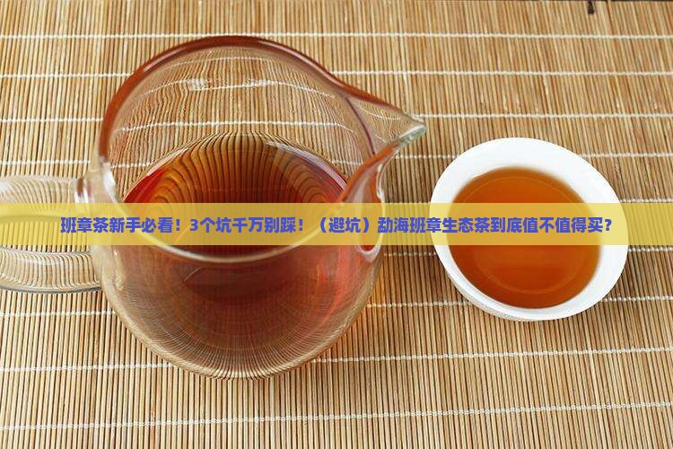 勐海班章生态茶普洱茶