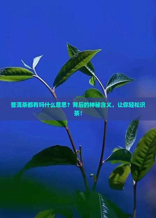 普洱茶都有编号吗什么意思