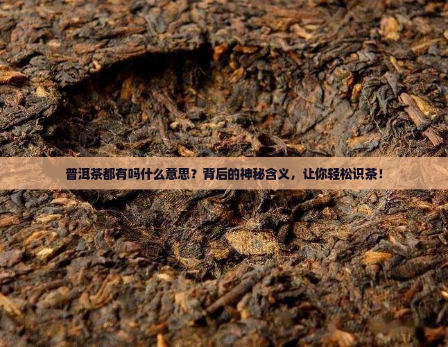 普洱茶都有编号吗什么意思