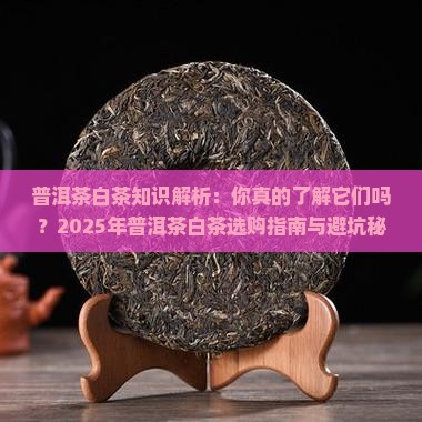 普洱茶白茶知识