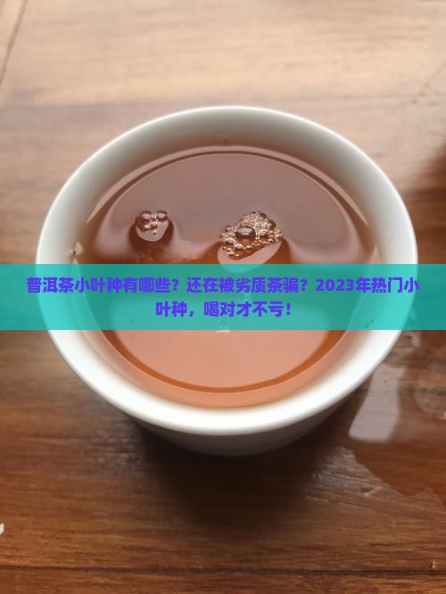 普洱茶小叶种有哪些