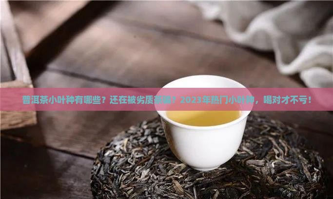 普洱茶小叶种有哪些