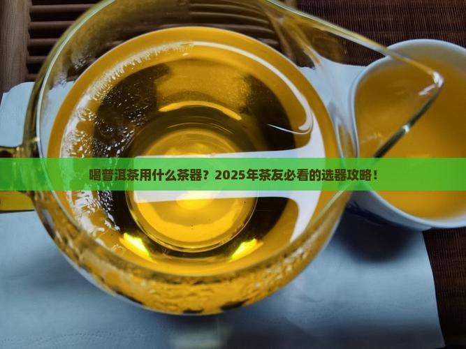 喝普洱茶用什么茶器