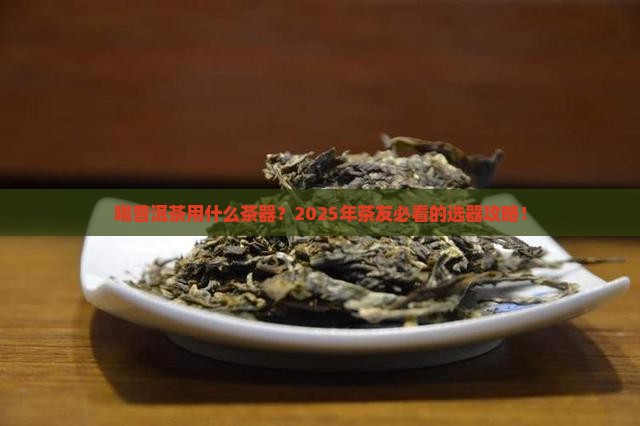 喝普洱茶用什么茶器