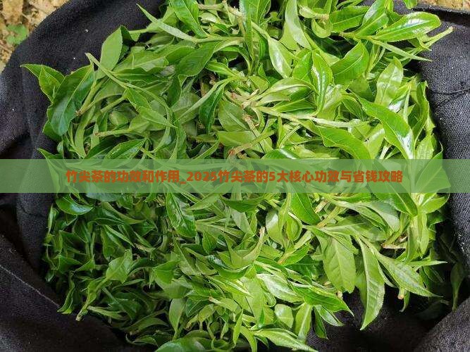 竹尖茶的功效和作用