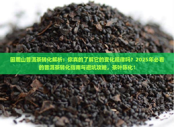 困鹿山普洱茶转化
