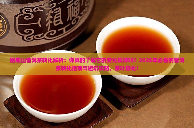 困鹿山普洱茶转化