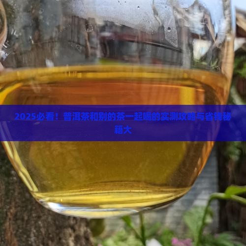 普洱茶和别的茶能同时喝吗