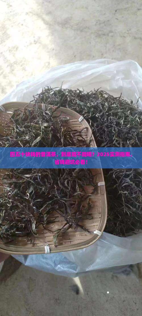 四十五十块钱的普洱茶
