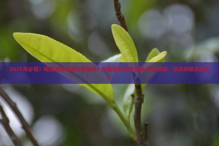 喝普洱茶能解决便秘吗