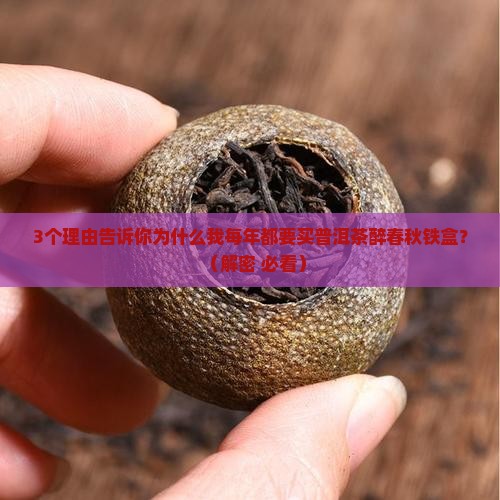 普洱茶醉春秋铁盒