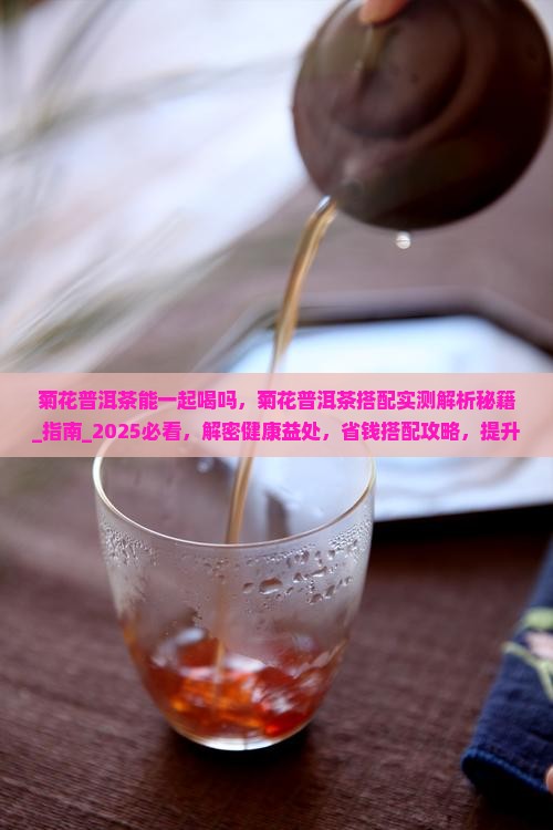 菊花普洱茶能一起喝吗