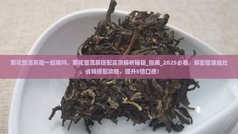 菊花普洱茶能一起喝吗