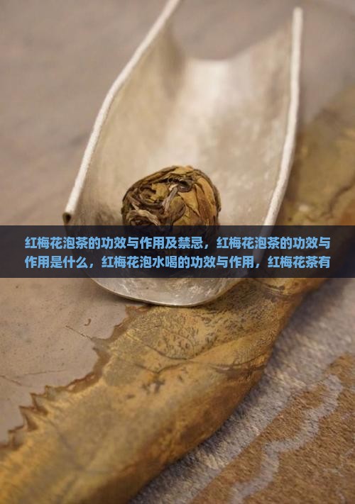 红梅花泡茶的功效与作用