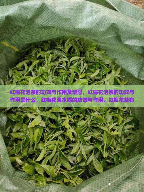 红梅花泡茶的功效与作用