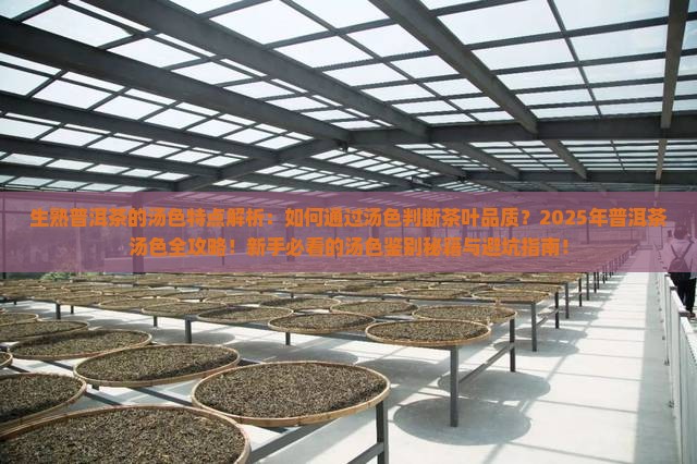 生熟普洱茶的汤色特点