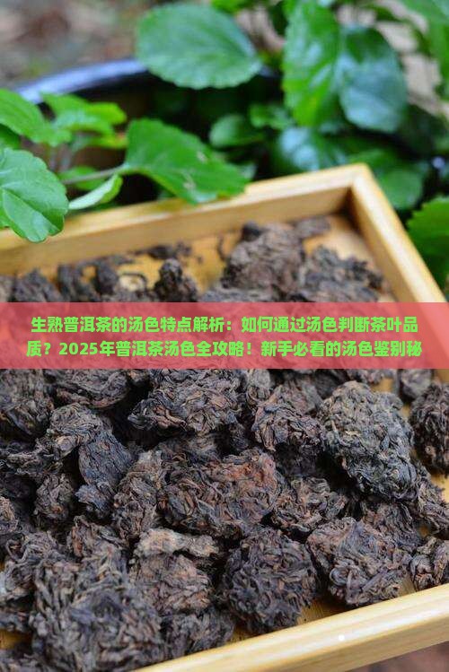 生熟普洱茶的汤色特点