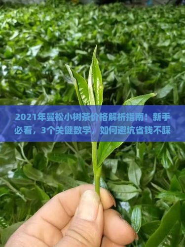 曼松小树茶2021年价格
