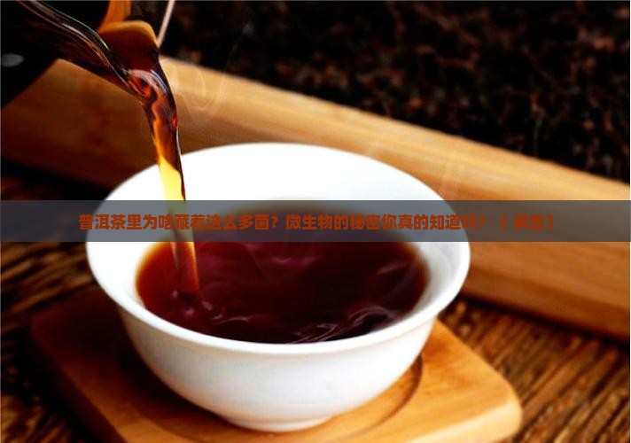 普洱茶为什么有微生物