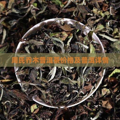 周氏乔木普洱茶价格