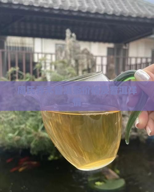 周氏乔木普洱茶价格