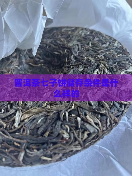 普洱茶七子饼储存条件是什么样的