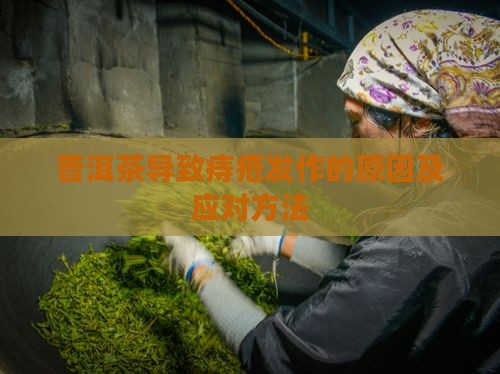 普洱茶导致痔疮发作的原因及应对方法