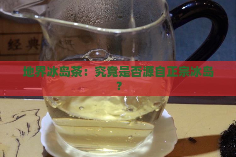 地界冰岛茶：究竟是否源自正宗冰岛？