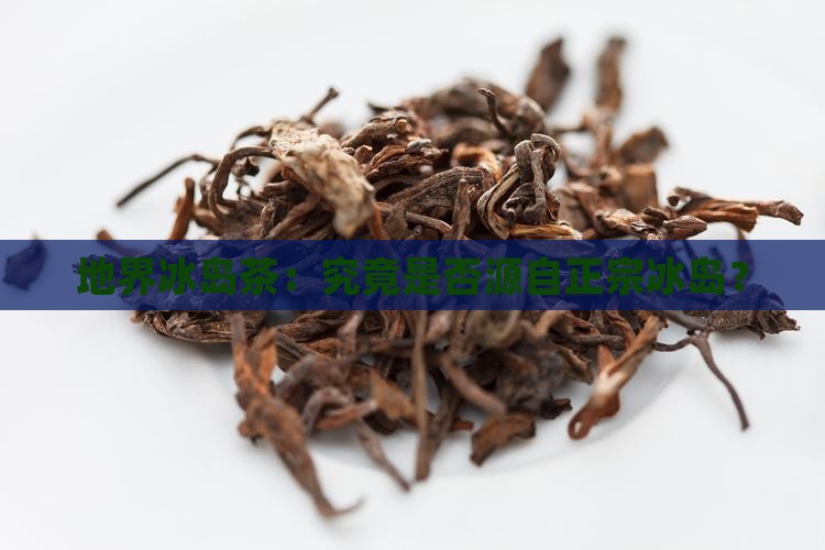 地界冰岛茶：究竟是否源自正宗冰岛？