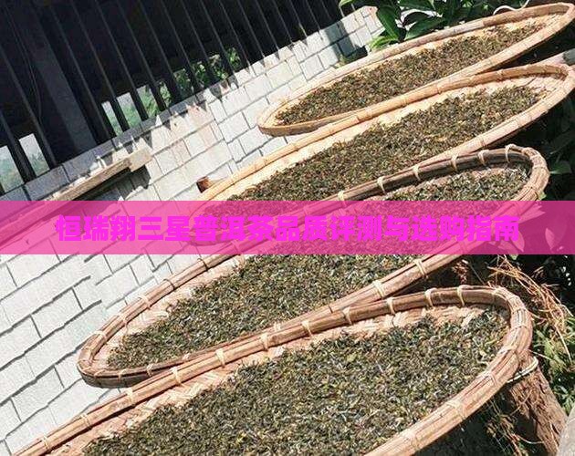 恒瑞翔三星普洱茶品质评测与选购指南