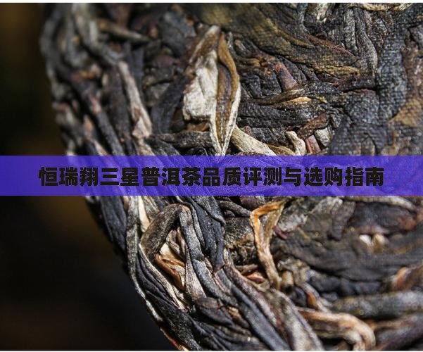 恒瑞翔三星普洱茶品质评测与选购指南