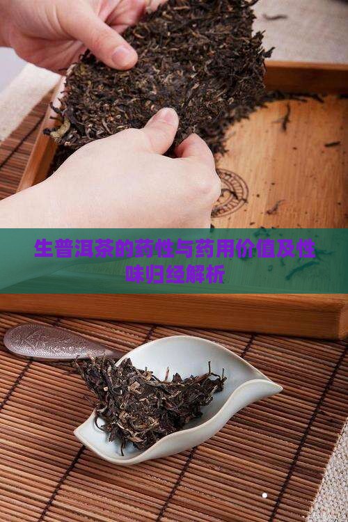 生普洱茶的药性与药用价值及性味归经解析