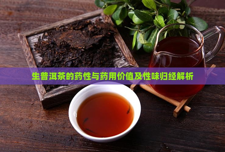 生普洱茶的药性与药用价值及性味归经解析