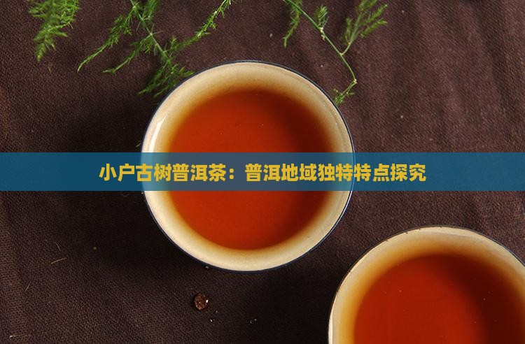 小户古树普洱茶：普洱地域独特特点探究